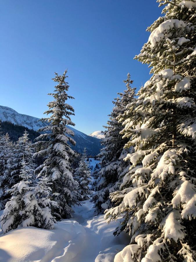 T2- 4Pers- Chamrousse Bachat Bouloud Exterior foto