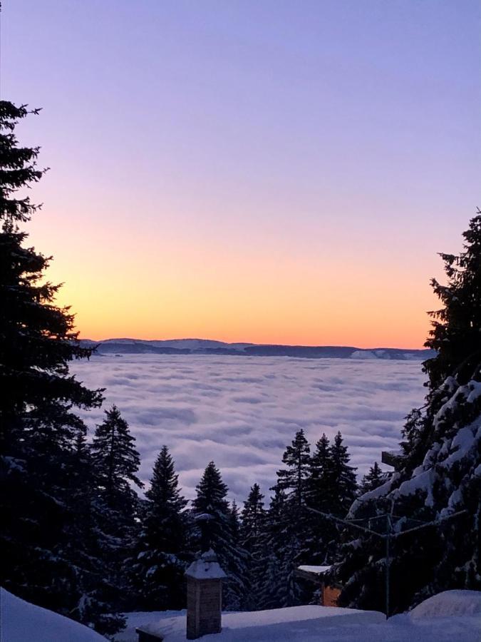T2- 4Pers- Chamrousse Bachat Bouloud Exterior foto