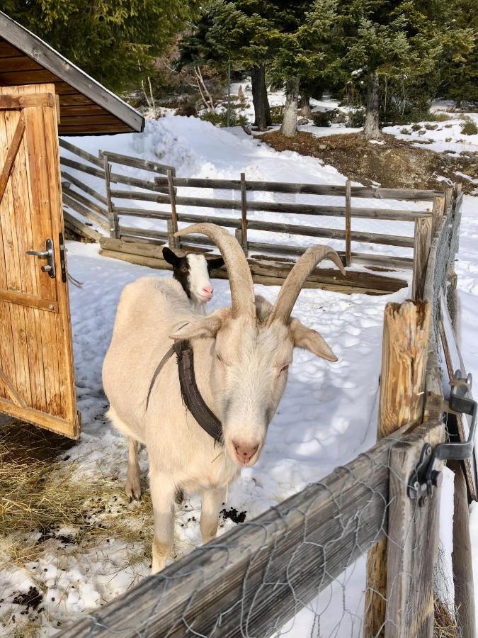 T2- 4Pers- Chamrousse Bachat Bouloud Exterior foto